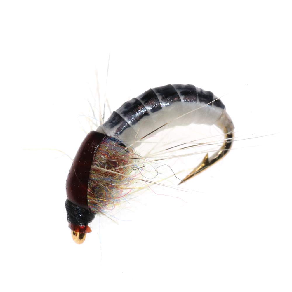 Greatfishing 6pc #12 Super Sturdy Realistic Nymph Scud Flies for Trout Nymph Beadhead Fishing Wet Assortment Flies
