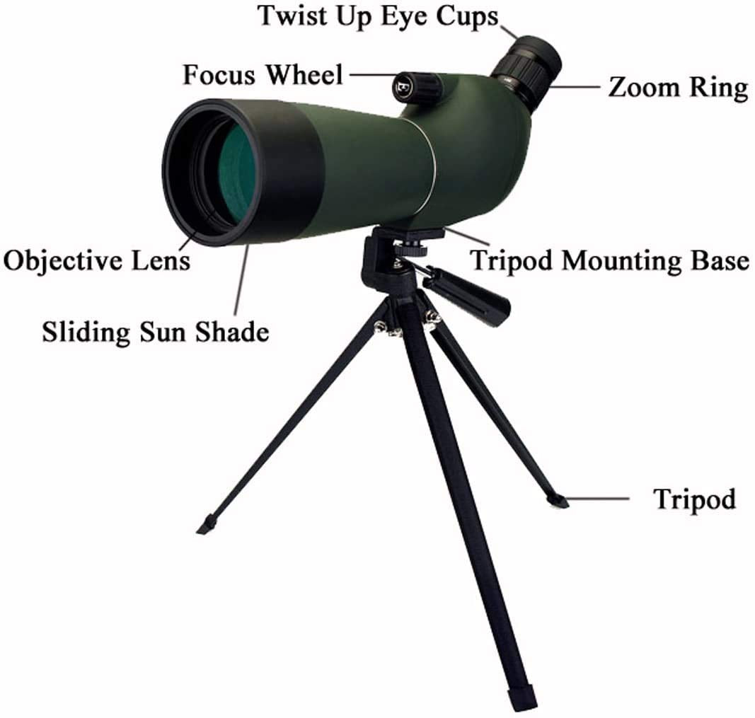 SVBONY SV28 Spotting Scopes 20-60x60mm, Angled Spotting Scope with Tripod IP65 Waterproof Long Range Scope,Spotter Scope with Phone Adapter for Bird Watching Hunting Target Shooting Wildlife Telescope