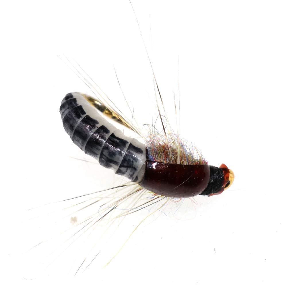 Greatfishing 6pc #12 Super Sturdy Realistic Nymph Scud Flies for Trout Nymph Beadhead Fishing Wet Assortment Flies