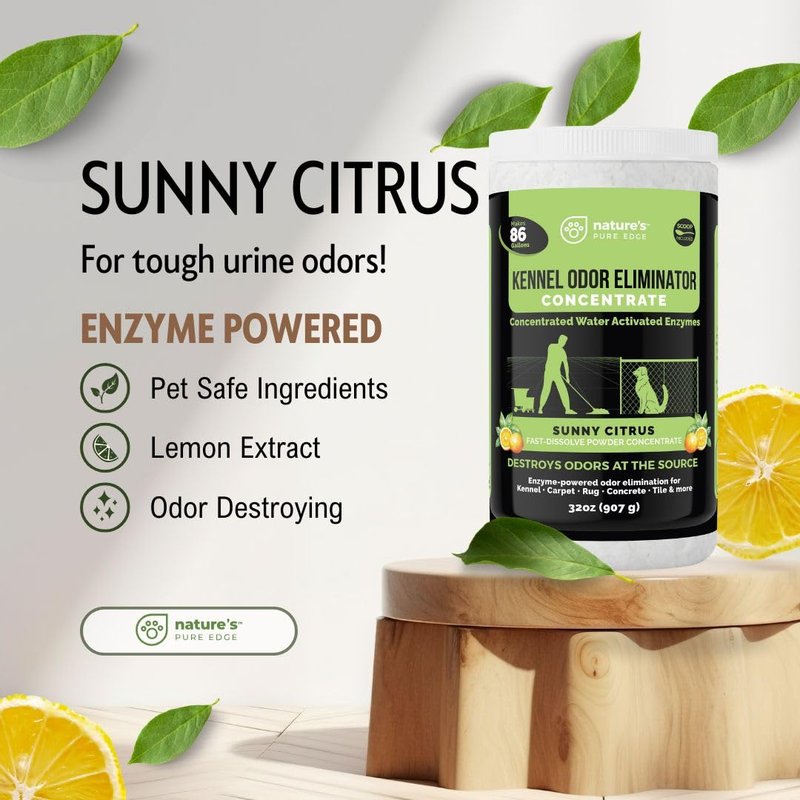 Nature's Pure Edge Enzyme Powder Concentrate Makes 86 Gallons - Professional Use for Kennel and Pet Odor Elimination - Removes Urine Poop from Carpets Floors - Sunny Citrus