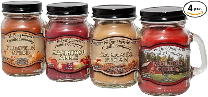 Our Own Candle Company 4 Pack Fall Assortment Mini Mason Jar Candles - 3.5 Oz Caramel Pecan, Mulled Cider, Pumpkin Spice, Macintosh Apple