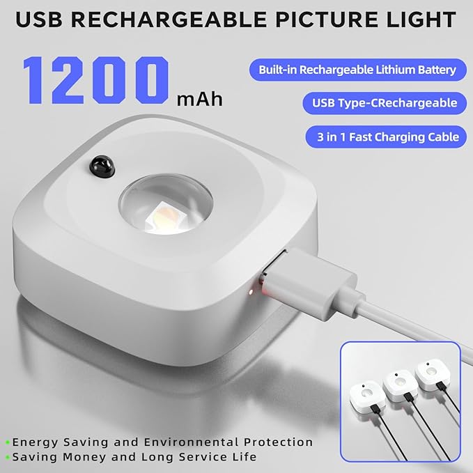 Lightbiz Picture Lights for Wall 3 Pcs, Rechargeable Battery Operated Magnetic Wall Lights with 3 Color Temps, Remote Dimmable Timer Painting Light for Art Display, Frame, Poster