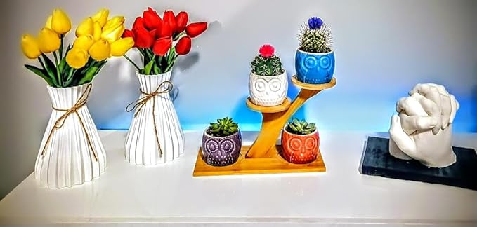Blisse Wood Owl Planter (White)