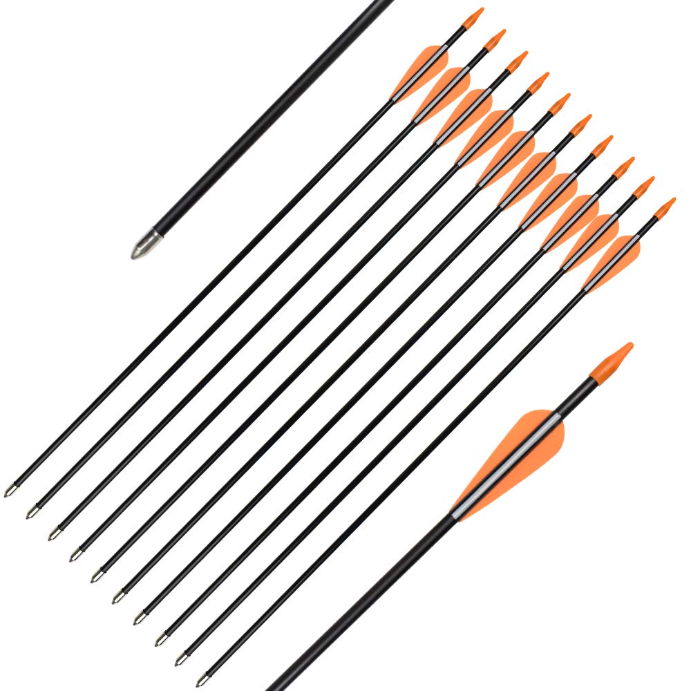Elong Fiberglass Arrows Archery 24 Inch Target Shooting Practice Safetyglass Recurve Bows Suitable for Youth Children Woman Beginner (6 pcs)