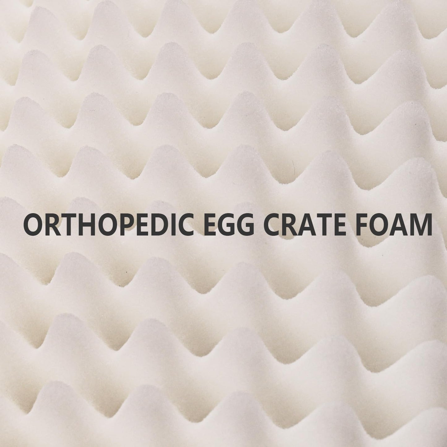 Patas Lague Orthopedic Dog Bed Large Sized Dog 36''X24'', Waterproof Soft Comfortable Egg Crate Foam Large Pet Beds Crate Mat with Removable Washable Cover and Nonskid Bottom, Black
