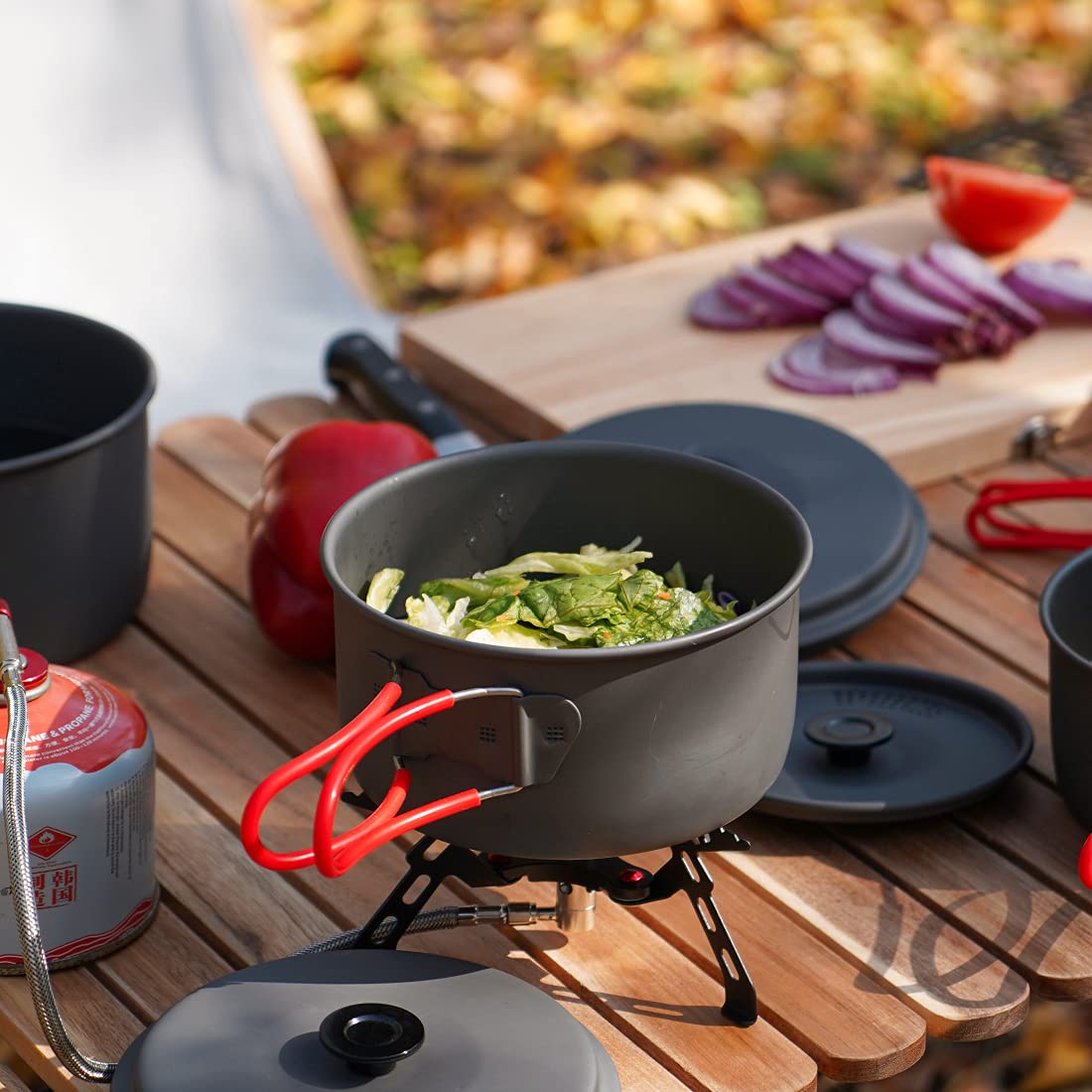 Alocs Camping Cookware, Aluminum Camping Cooking Set Camp Kitchen, Portable Camping Pots and Pans Set Essentials Mess Kit for Backpacking, Outdoor Cooking and Picnic