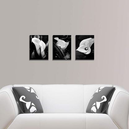 Hardy Gallery Floral Artwork Flower Painting Picture: Calla-Lily Print on Canvas Set for Wall Art (16”x12”x3pcs)