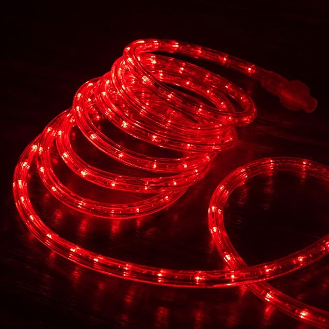 WYZworks 1116LEDs 100ft LED Outside Rope Lights, Outdoor ETL Certified Waterproof Permanent 360 Degree Light Emitting, Flexible Tube, Connectable, Christmas Palm Tree Exterior Landscape, Red
