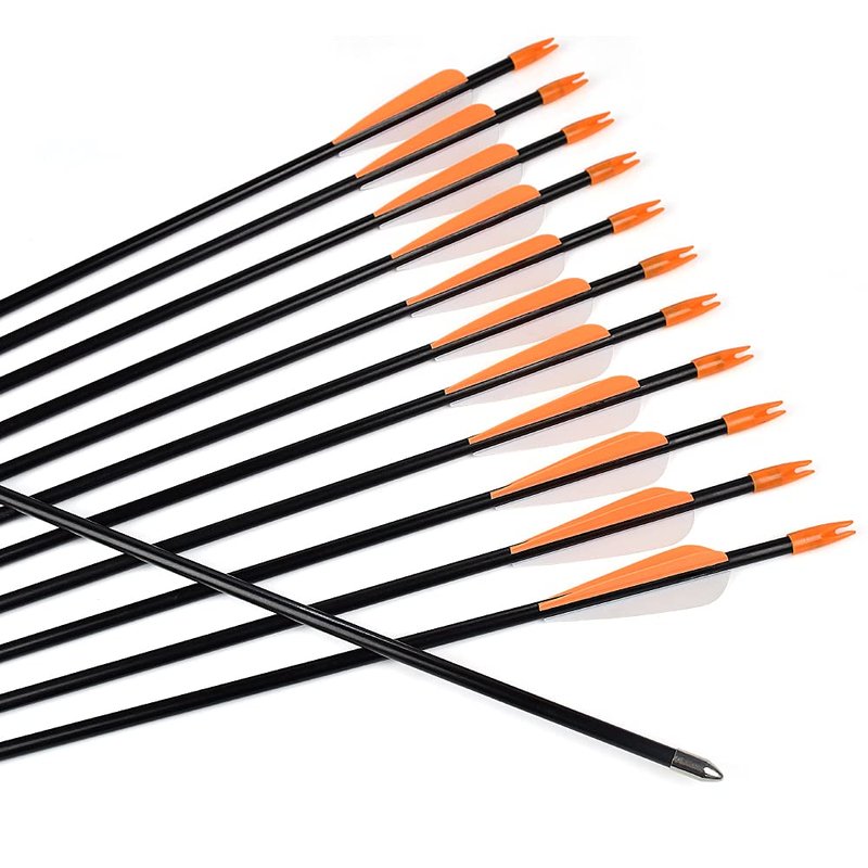 Practice Fiberglass Arrows Archery 24 Inch Target Shooting Safetyglass Recurve Bows Suitable for Youth Woman Beginner 12PCS