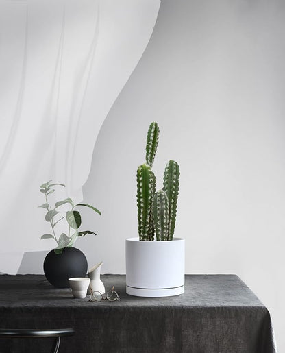 Aveyas 8 inch Ceramic Plant Pot with Drainage Hole and Saucer - Suitable for Indoor and Outdoor Use, Modern Planters for House Garden Flower Tree Snake Monstera Plants (8", Glossy White)