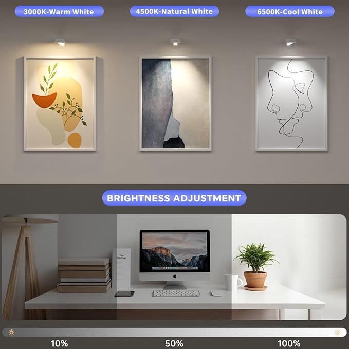 Lightbiz Picture Lights for Wall 3 Pcs, Rechargeable Battery Operated Magnetic Wall Lights with 3 Color Temps, Remote Dimmable Timer Painting Light for Art Display, Frame, Poster