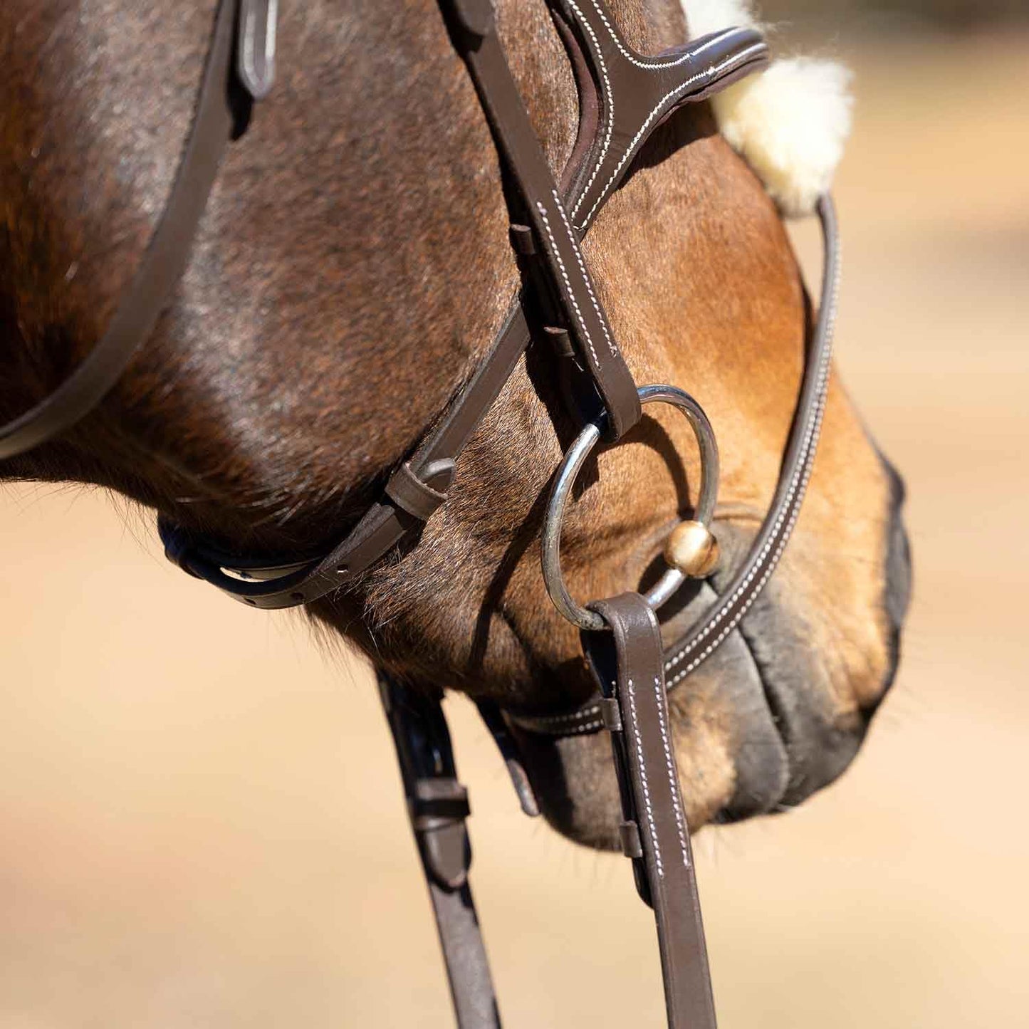 Jeffers Uniquely English Hickstead Figure-8 Leather Bridle for Horses with Web Reins, Cob - Padded Crown, Buckle Bit Ends, Sheepskin Noseband, Adjustable Throatlatch, Dressage, Jumping, Training
