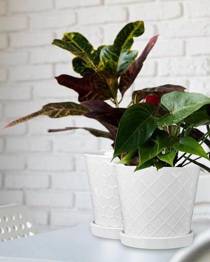 EFISPSS Ceramic Plant Pots, 6 Inch Pots for Indoor Plants, Planters with Drainage Hole and Saucer, Flower Pots Desktop Office Windowsill Decoration Gift Set of 2 - White