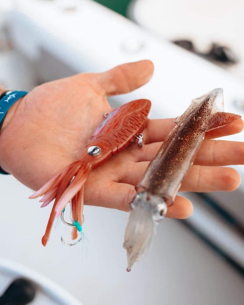 Nomad Design Squidtrex Vibrating Fishing Lure - TPE Soft Plastic Bait with Strong BKK Assist Hooks for Saltwater Fishing