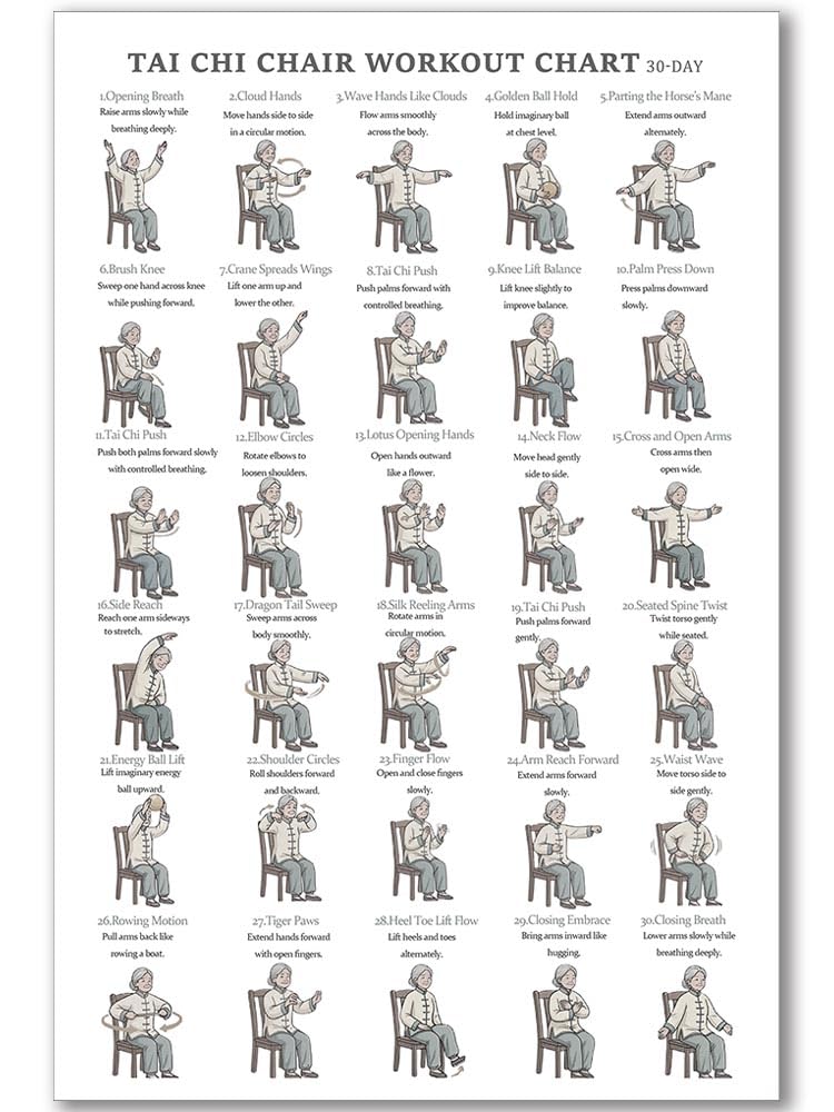 Tai Chi Chair Workout Chart Poster Print Seated Exercises for Beginners and Seniors Canvas Wall Art Home Gym Living Room Decor 12x18 Inch Unframed A