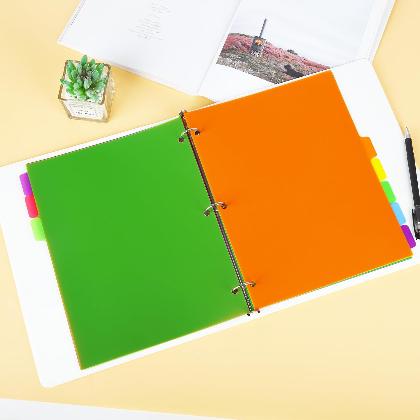 Binder Dividers for 3 Ring Binder,8 Tab Plastic File Dividers, Multicolor,Pack of 6sets(48 Dividers Total)