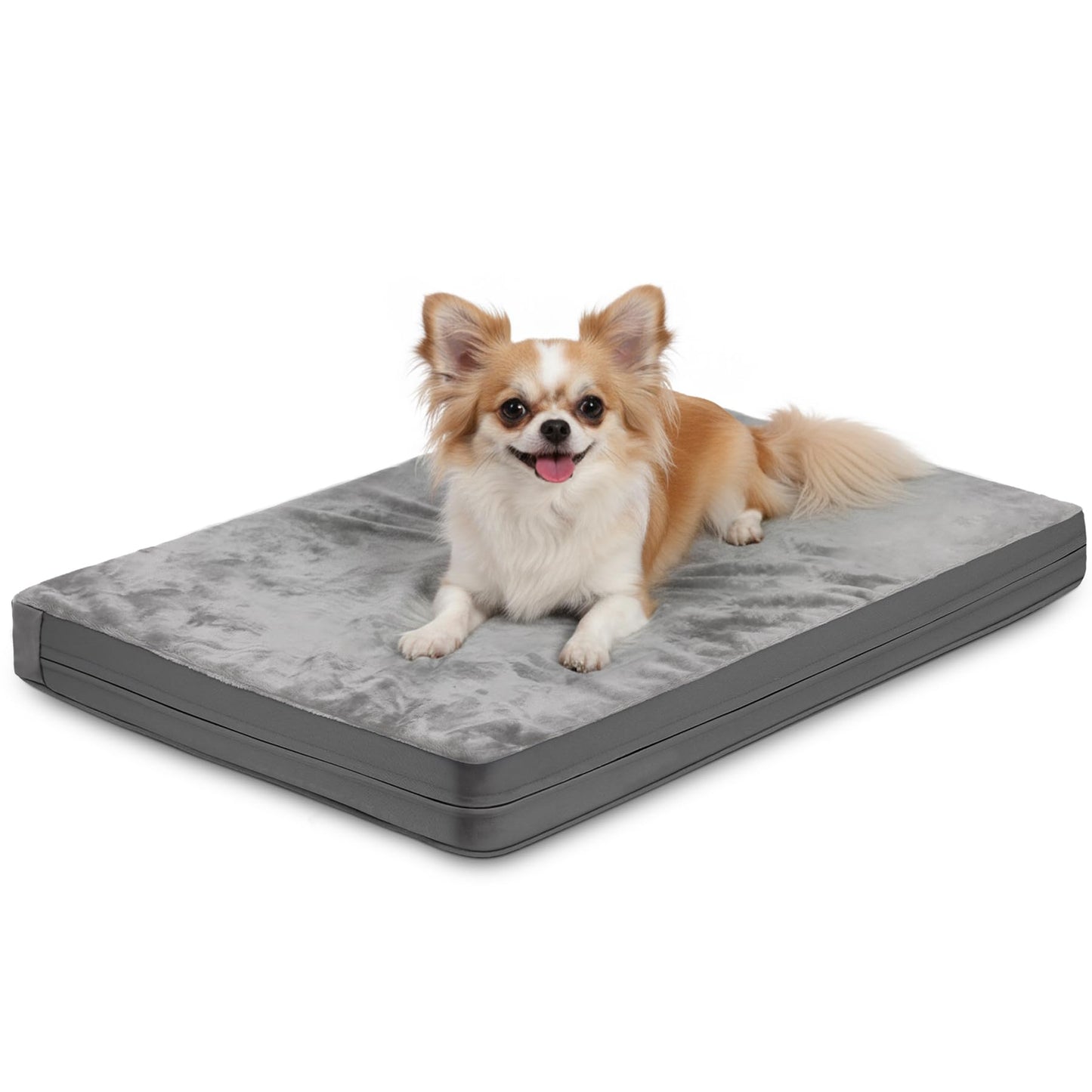 Waterproof Small Dog Bed Crate Pad 24 inch, Outdoor Washable Puppy Bed Orthopedic with Removable Cover Reversible, Foam Cat Bed Kennel Pad 23" x17, Durable Anti-Slip Bottom, Gray