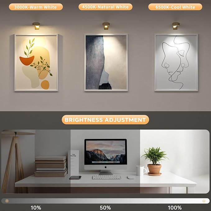 Lightbiz Picture Lights for Wall 3 Pcs, Rechargeable Battery Operated Magnetic Wall Lights with 3 Color Temps, Remote Dimmable Timer Poster Lights for Art Display, Frame, Painting