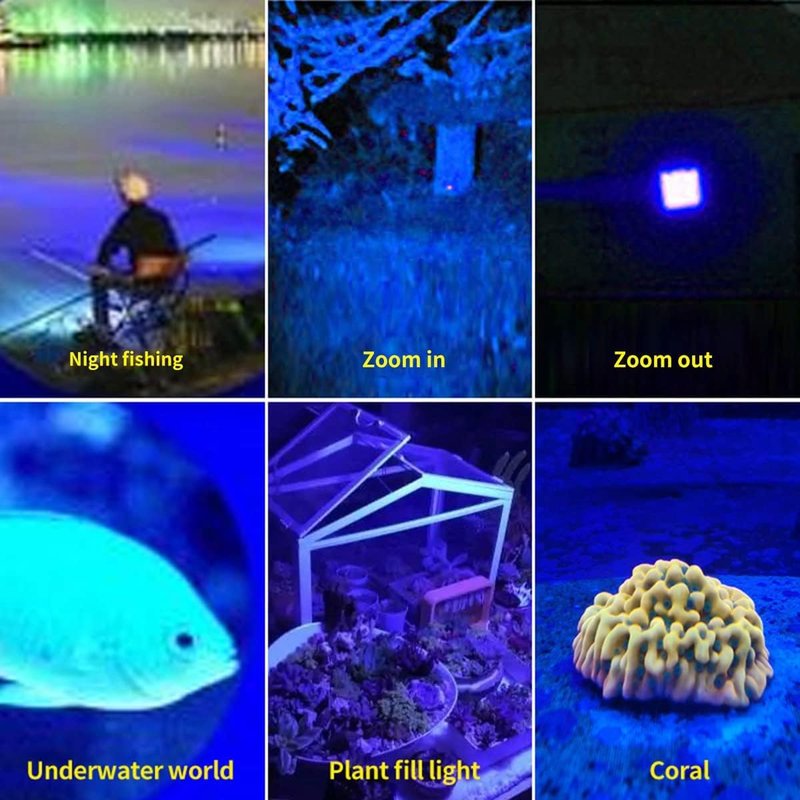 YZYOE Rechargeable Black Light Flashlight mini，Blue Light Flashlight Rechargeable，Black Light Flashlight for Hunting，LED UV Torch 3 in 1 UV Black Light and Blue Light and White Lights，3 Modes.