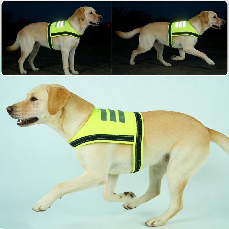 DENTRUN Dog Reflective Vest, High Visibility Safety Vest for Small Medium Large Dogs, Easy-On Adjustable Reflective Jacket for Outdoor Hunting Night Walking Jogging, Bright Green