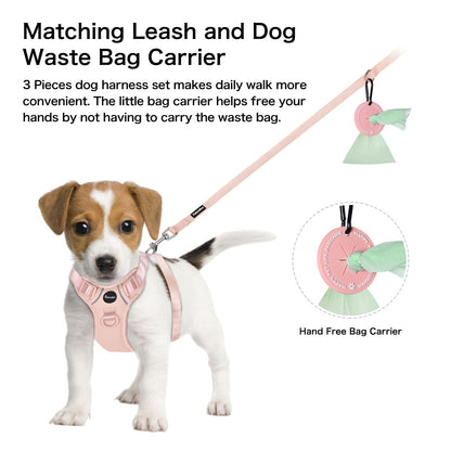 Petmolico Dog Harness for Small Dogs, Cute Harness Vest with Two Leash Clips and Soft Handle, Reflective Easy Walk Puppy Vest - Pink, Medium