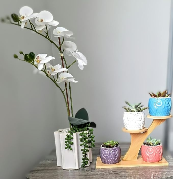 Blisse Wood Owl Planter (Purple)