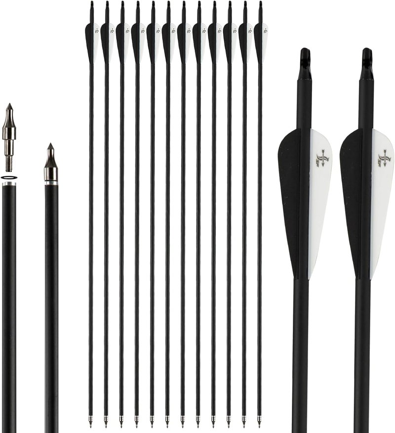 Carbon Arrow Practice Hunting Arrows - Spine 500 for Compound & Recurve Bow | 28-30 Inch (Pack of 12)