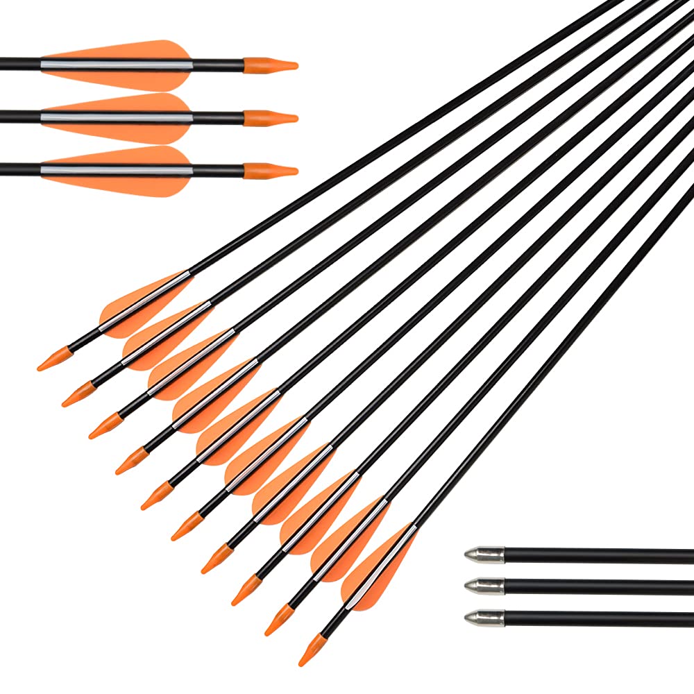 Elong Fiberglass Arrows Archery 24 Inch Target Shooting Practice Safetyglass Recurve Bows Suitable for Youth Children Woman Beginner (6 pcs)