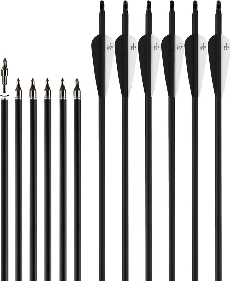 Carbon Arrow Practice Hunting Arrows - Spine 500 for Compound & Recurve Bow | 28-30 Inch (Pack of 12)