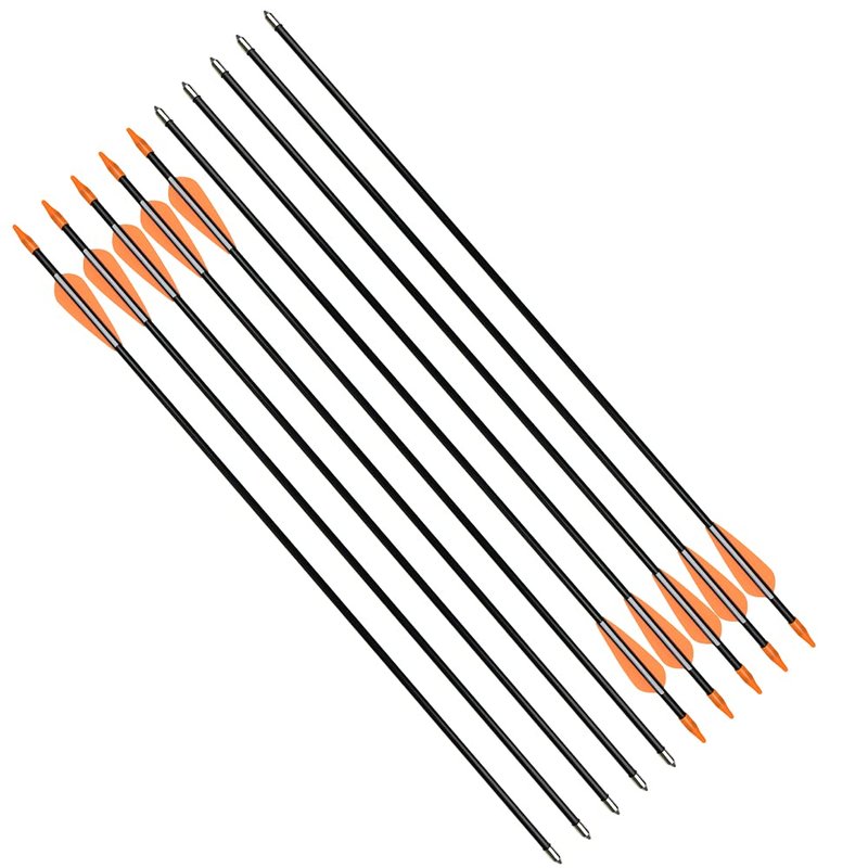 Practice Fiberglass Arrows Archery 24 Inch Target Shooting Safetyglass Recurve Bows Suitable for Youth Woman Beginner 12PCS