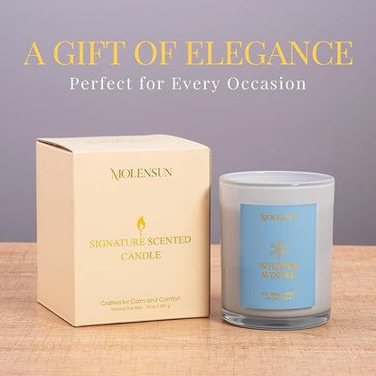 Whisper Winter Candle, 10oz Soy Scented Candle for Home, Christmas Birthday & Holiday Gifts for Women & Men, Long Lasting 50+ Hour Clean Non-Toxic Burn, Elegant Winter & Christmas Festive Home Decor