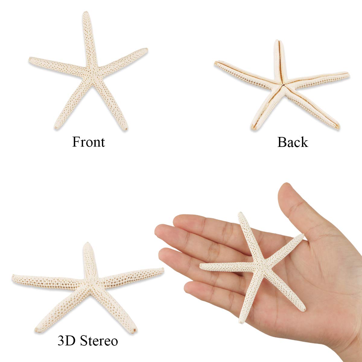 Jangostor 20 PCS Starfish, 2.5" to 4" Natural Seashells Starfish Star Fish Shells Decorations White Starfish Ornaments Perfect for Wedding Beach Theme Party Home Decorations, DIY Crafts, Fish Tank