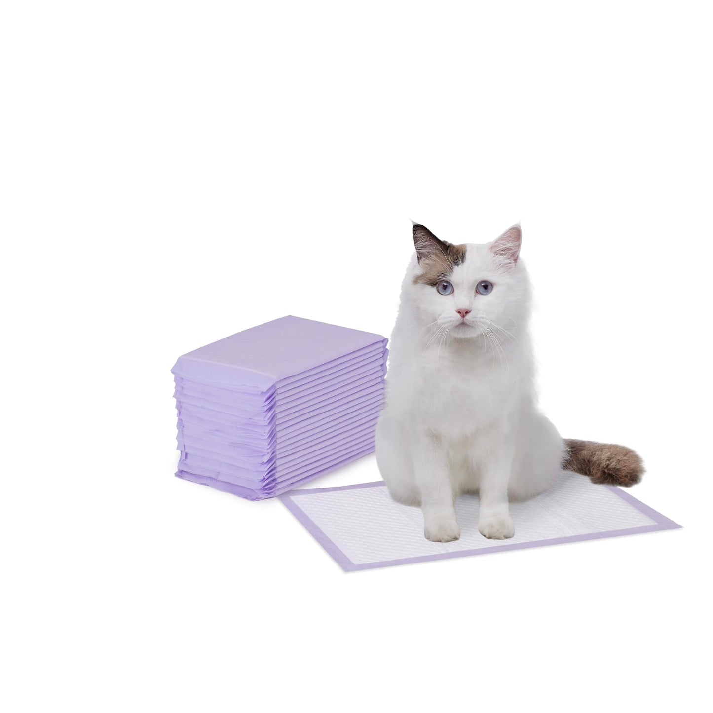 Amazon Basics Cat Pee Pads, Super Absorbent, Odor Control, Universal Fit for Litter Box, Disposable, Multi-Cat, Unscented, Purple and White, 20 Count