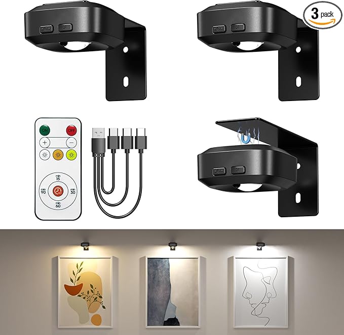 Lightbiz Picture Light 3 Pcs, Rechargeable Battery Operated Picture Lights for Wall, Magnetic Wall Lights with 3 Color Temps, Remote Dimmable Timer Poster Lights for Art Display, Frame