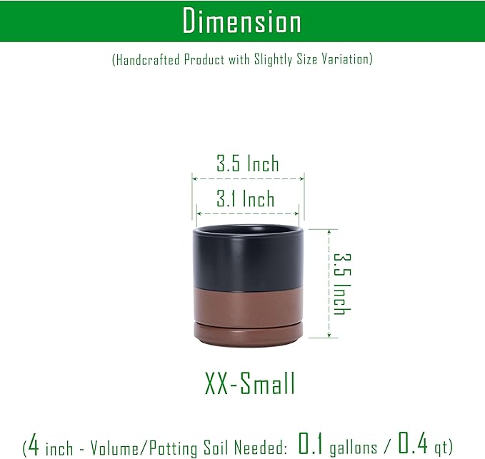 D'vine Dev Set of 2 Plants Pots, 3.5 Inch Ceramic Planter Pot for Plants with Drainage Hole and Saucer, Black/Speckled Tan, 94-V-A-7