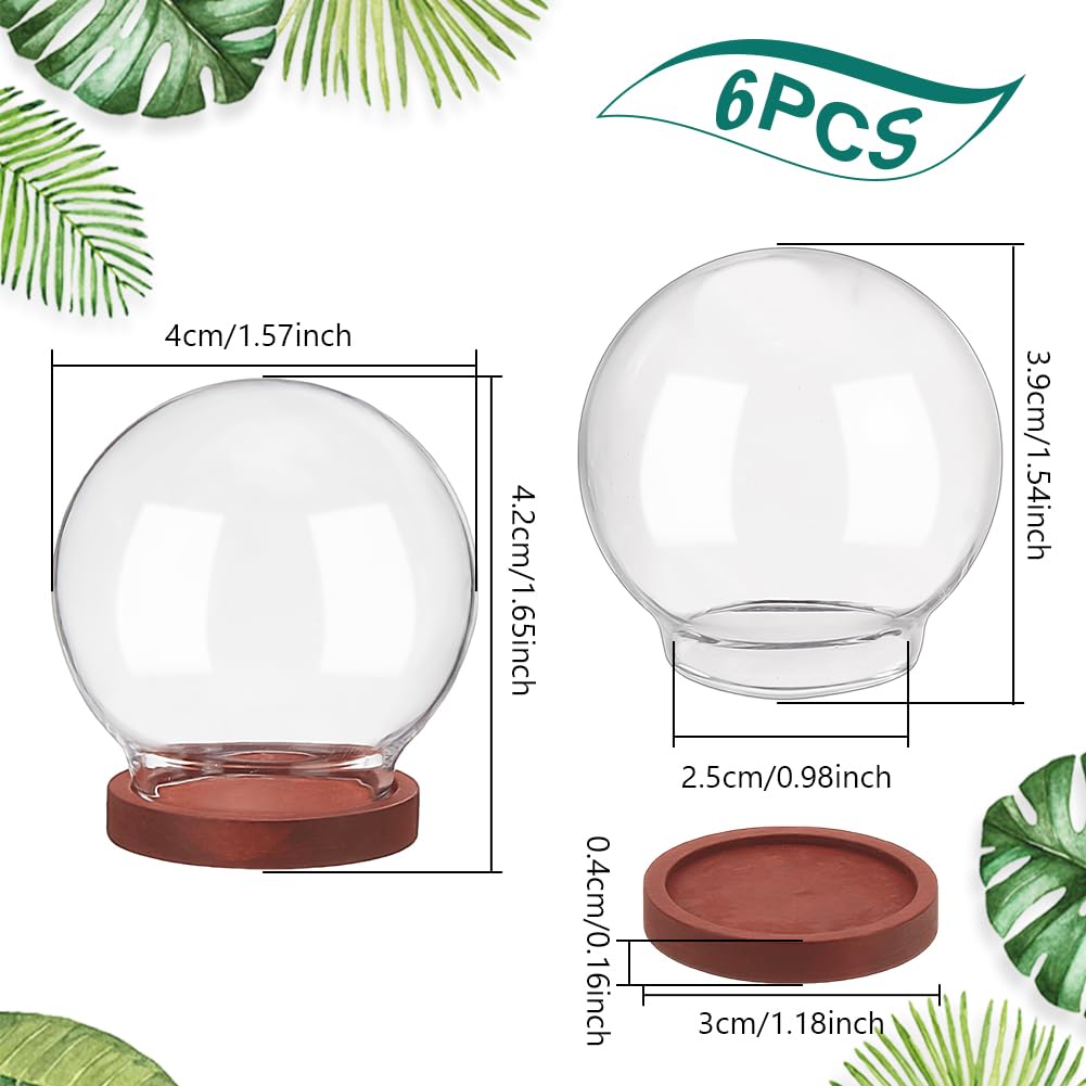 NBEADS 6 Pcs Mini Round Glass Dome, Clear Glass Display Dome Cover with Wood Base Cloche Bell Jar for Centerpieces Plants Rocks Specimens Decorations Crafts, Diameter: 1.57 inch FireBrick