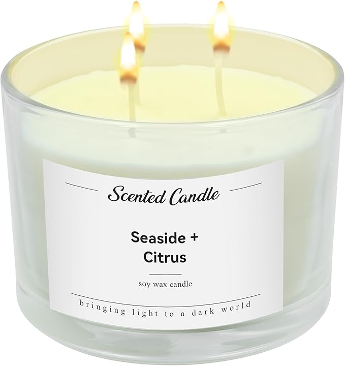 Premium 3-Wick Scented Candle 420g, Jar Aromatherapy Candle Birthday Gifts for Men and Women, Long Lasting 50H, Soy Wax Natural Essential Oil Blend for Home Office Spa (Seaside+Citrus)