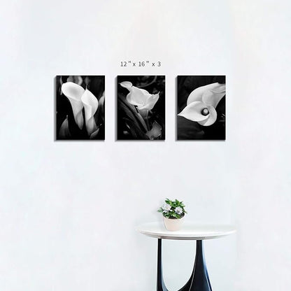 Hardy Gallery Floral Artwork Flower Painting Picture: Calla-Lily Print on Canvas Set for Wall Art (16”x12”x3pcs)