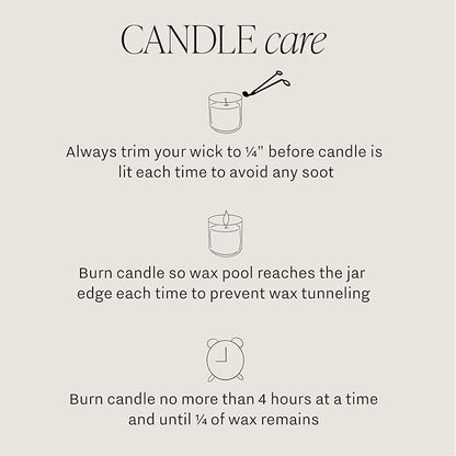 Sweet Water Decor Christmas Candle - Christmas Tree, Apple Cider, and Cinnamon, Winter Holiday Scented Soy Candles for Home - 11oz White Jar, 50+ Hour Burn Time, Made in The USA