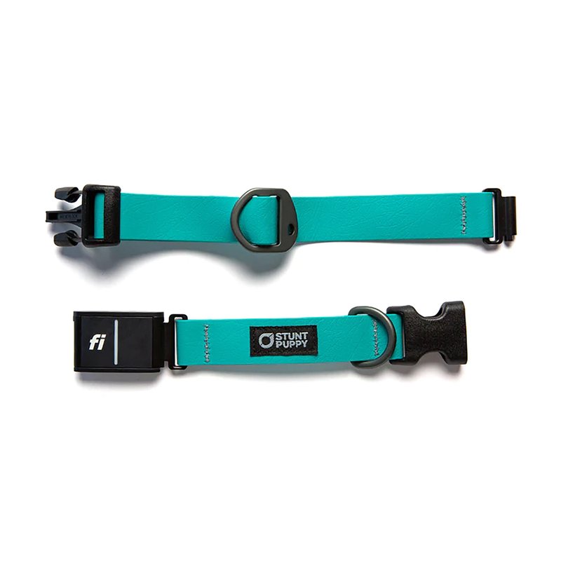 Stunt Puppy Dog Collar, Fi Series 3 and 3+ Ready, Medium, Teal - Compatible with Fi GPS Device (Not Included)