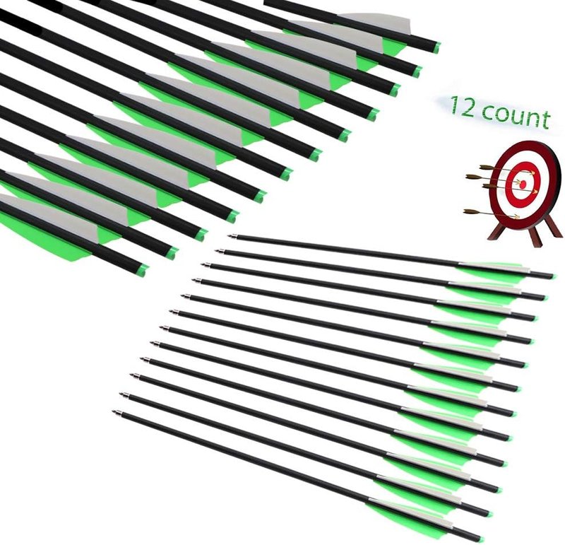 20 Inch Carbon Crossbow Bolts Set - 12 Hunting Arrows with 6 Broadheads for Archery Practice | Durable Carbon Material