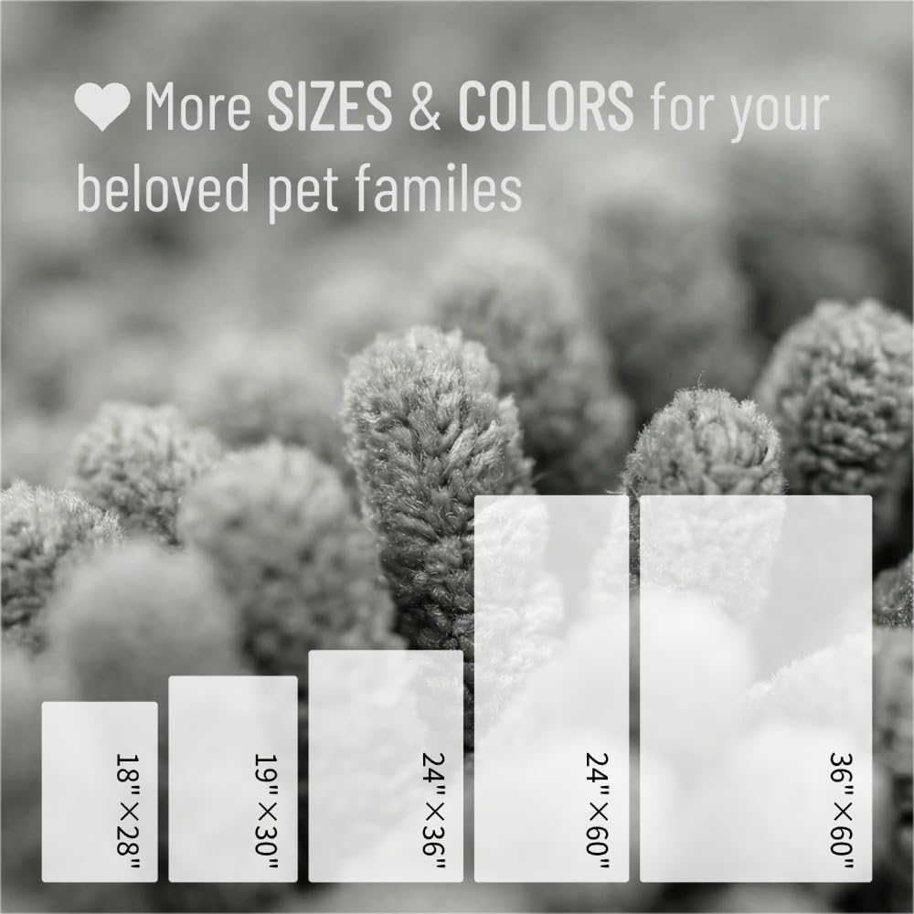 Miss Mila®| Dog Door Mat for Muddy Paw, Super Absorbent Chenille Pet Rug for Indoor Entryway, Non-Slip Washable Dirt Trapping Mats for Dogs & Cats, 24"x36" Grey