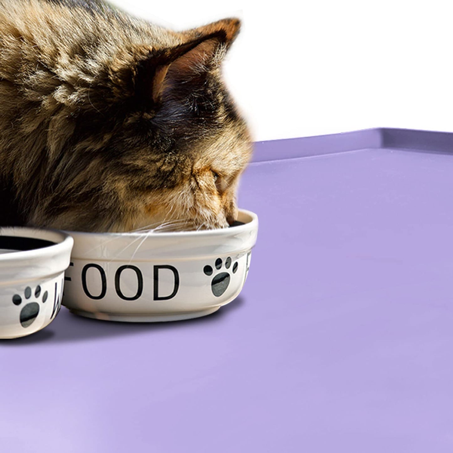 EIOKIT Dog Food Mat,Silicone Waterproof Food Tray,Non Slip Pet Bowl Mats Placemat,0.6" Raised Edge,Suitable for Most Small and Medium Sized Pets,18.5" x 11.5"