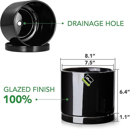 Aveyas 8 inch Ceramic Plant Pot with Drainage Hole and Saucer - Suitable for Indoor and Outdoor Use, Modern Planters for House Garden Flower Tree Snake Monstera Plants (8", Glossy Black)