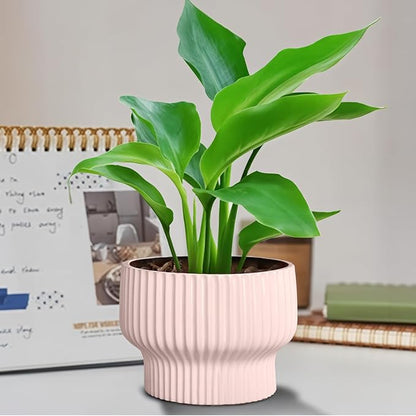 OXART Ceramic Pots for Plants, 7.7 Inch Round Plant Pot with Drainage Hole, Modern Outdoor Flower Pots Home Garden Decorative Planters for House Plants Indoor Planters (Pink)