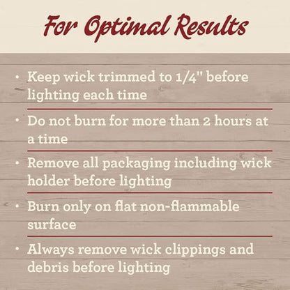 Our Own Candle Company 4 Pack Spring Assortment Mini Mason Jar Candles - 3.5 Oz Coconut Banana, Himalayan Sea Salt, Lilac, Strawberry Melon