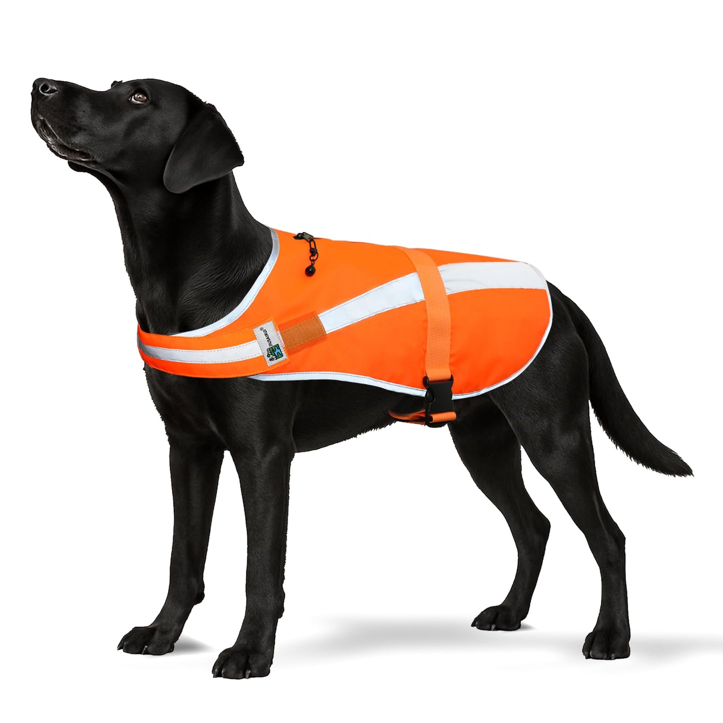 Reflective Dog Hunting Vest – Blaze Orange Safety Vest with Removable Bell, Waterproof and Lightweight (S)