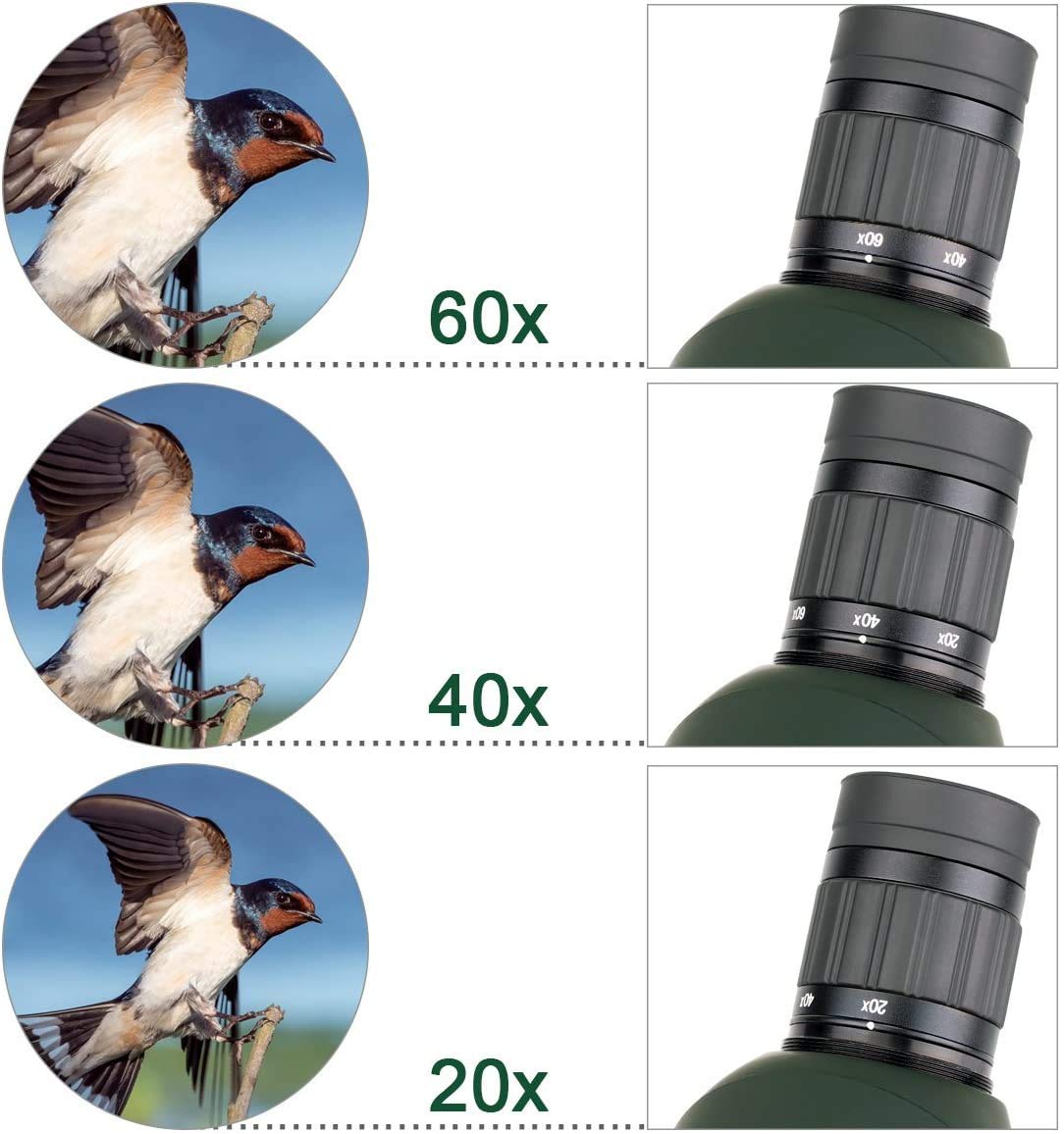 SVBONY SV28 Spotting Scopes 20-60x60mm, Angled Spotting Scope with Tripod IP65 Waterproof Long Range Scope,Spotter Scope with Phone Adapter for Bird Watching Hunting Target Shooting Wildlife Telescope