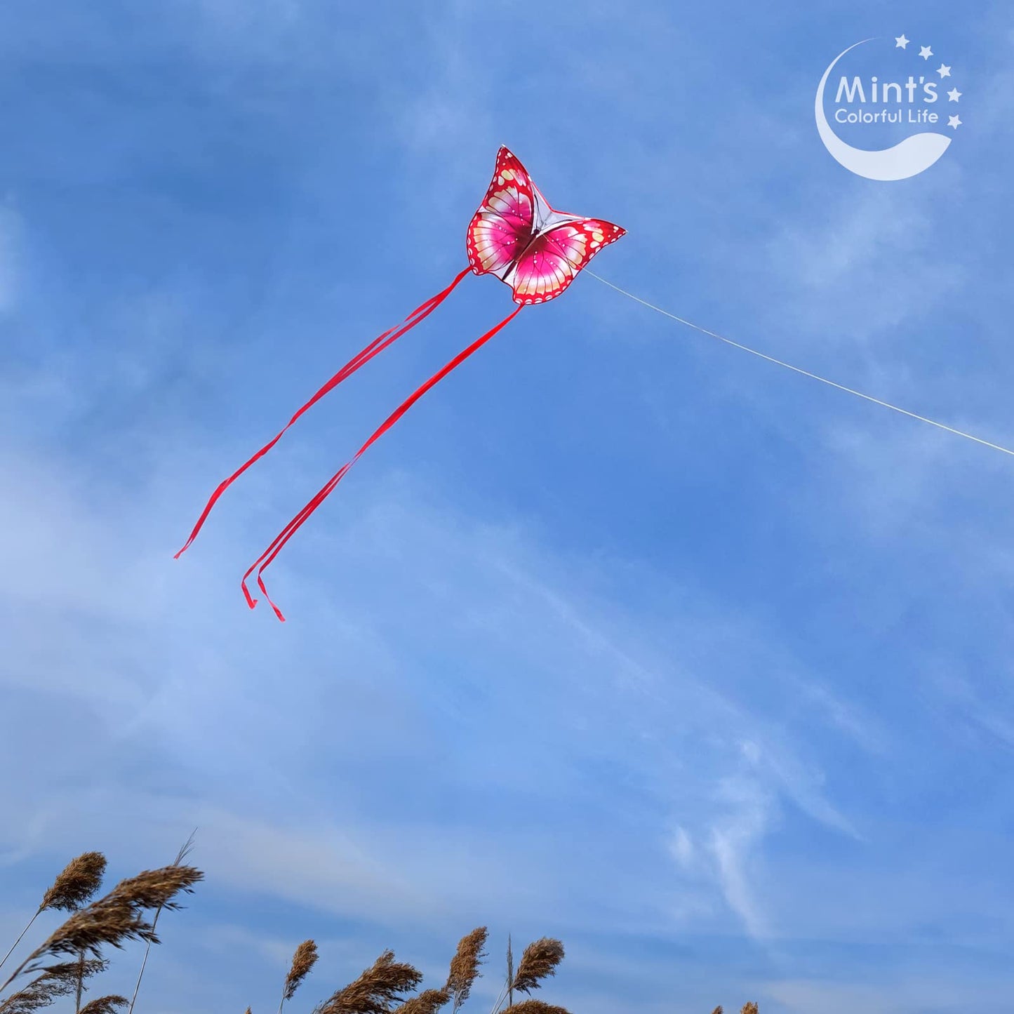 Mint's Colorful Life Butterfly Kite for Kids & Adults Easy to Fly, Large Single Line Kites with 300ft String Kite Handle (Pink)