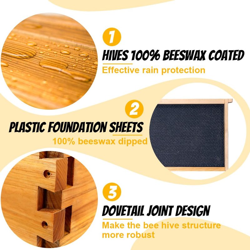 Honey Lake 10 Frame Langstroth Deep Brood Bee Hive Box Dipped in Beeswax, Sections of Wood for Beehives, Includes Beehive Frames and Waxed Foundations (Unassembled)